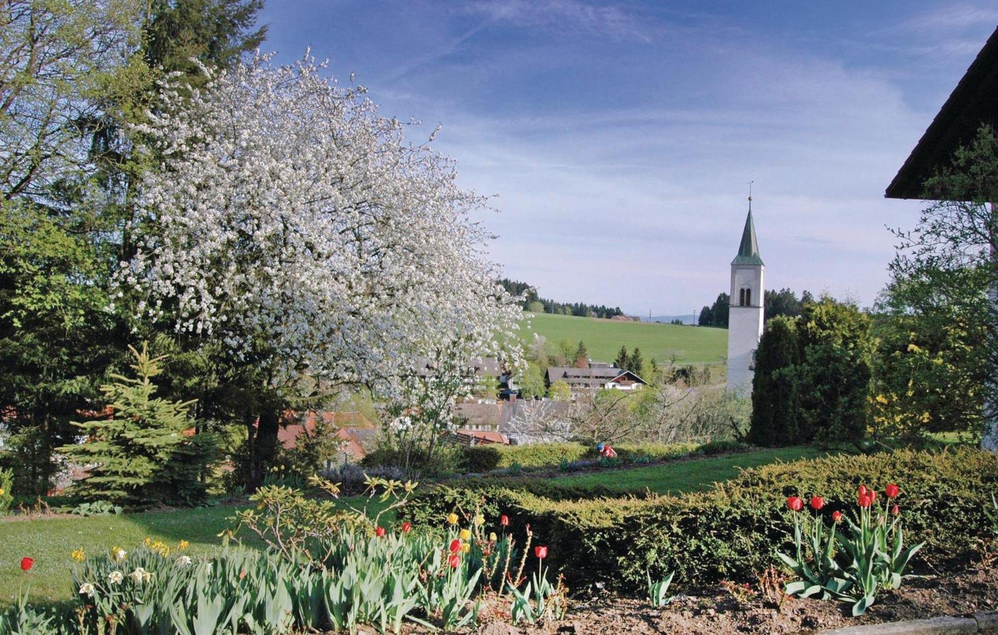 Nice Apartment In Rickenbach With Wifi Luaran gambar